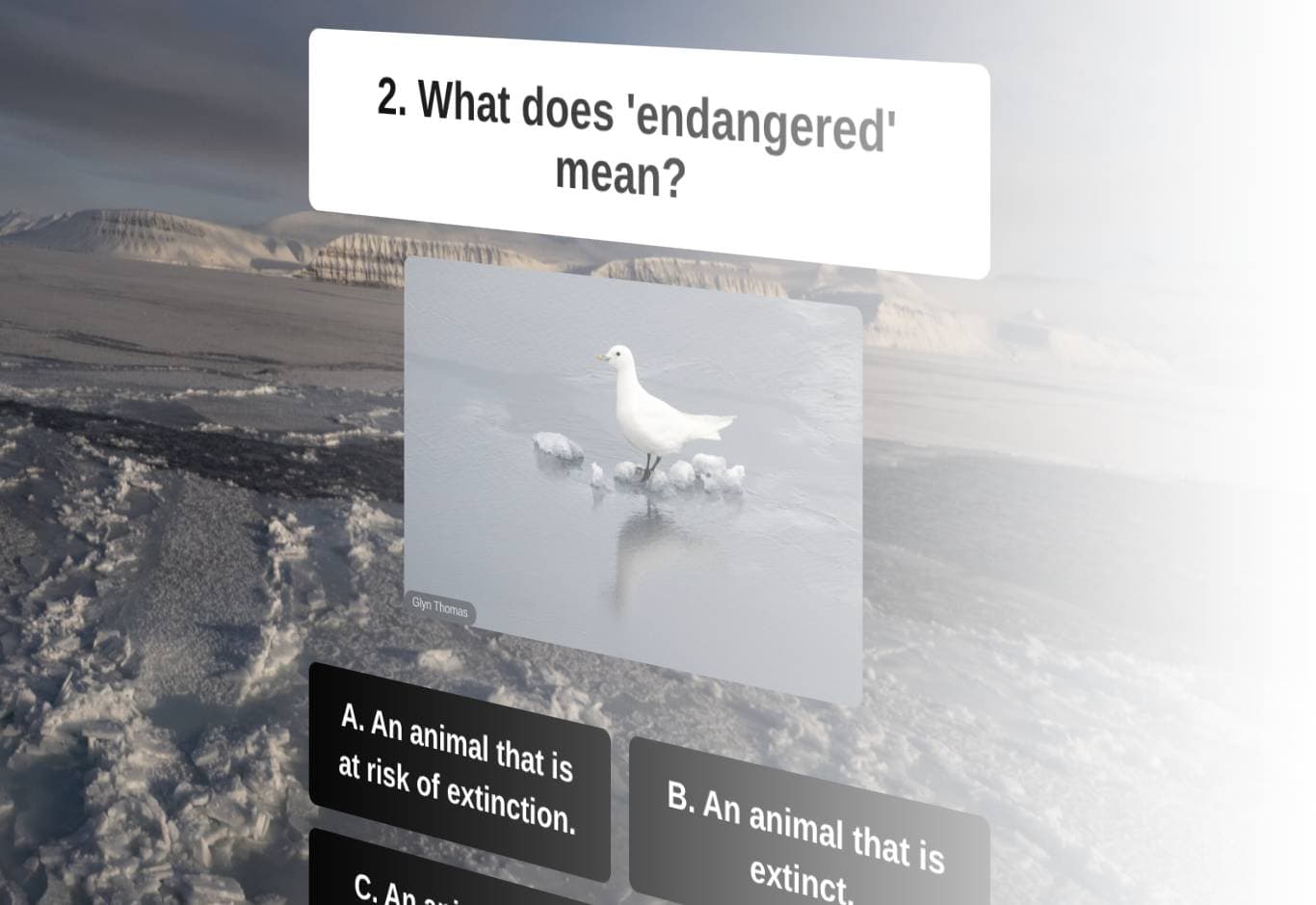 Quizzes preview screenshot